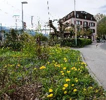 Ritterhof 2.jpg